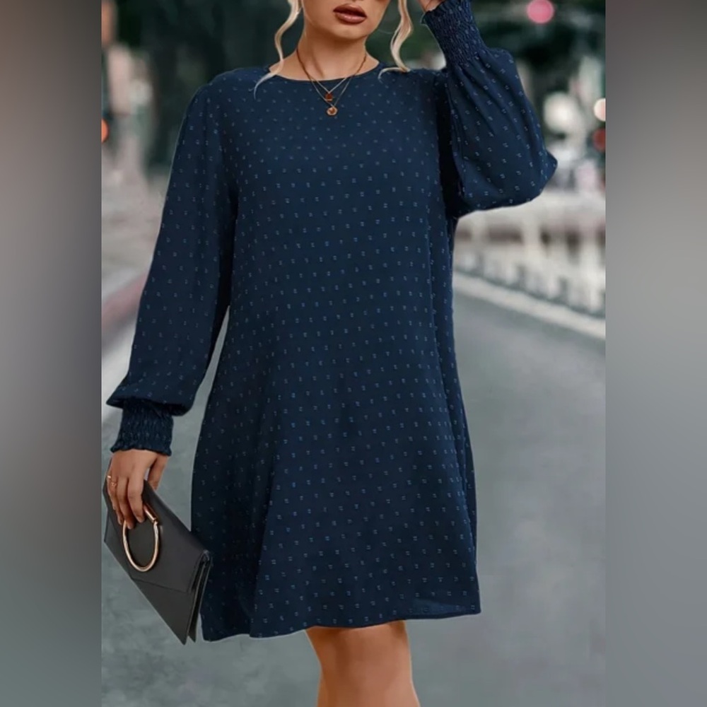 Blue Swiss Dot Long Sleeve Tunic or Dress
Size 20-22 NIP